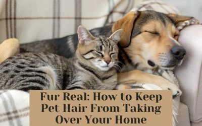 Fur Real: How to Keep Pet Hair From Taking Over Your Home
